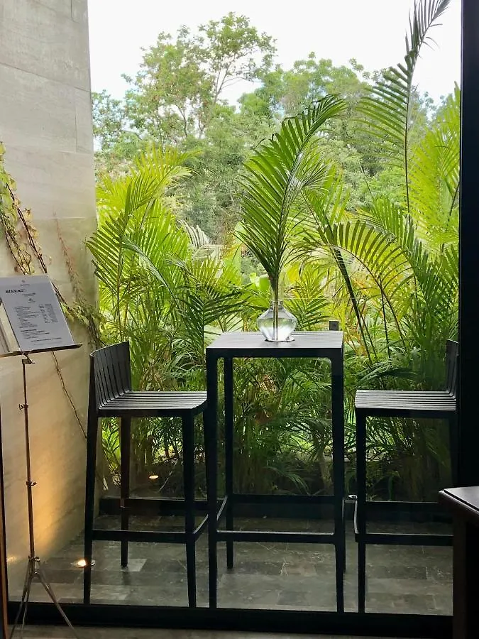 Mistiq Largest Ph Studio With Gym, Beach Club Shuttle & Fast Wifi Tulum 0*,  Mexico